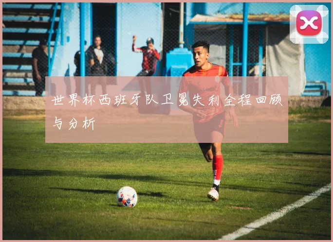 世界杯西班牙队卫冕失利全程回顾与分析