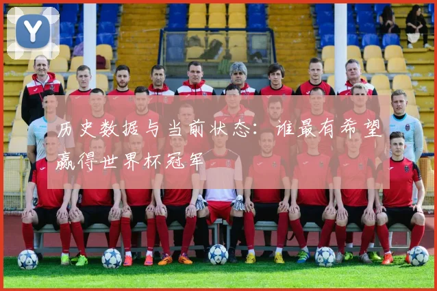 历史数据与当前状态:谁最有希望赢得世界杯冠军